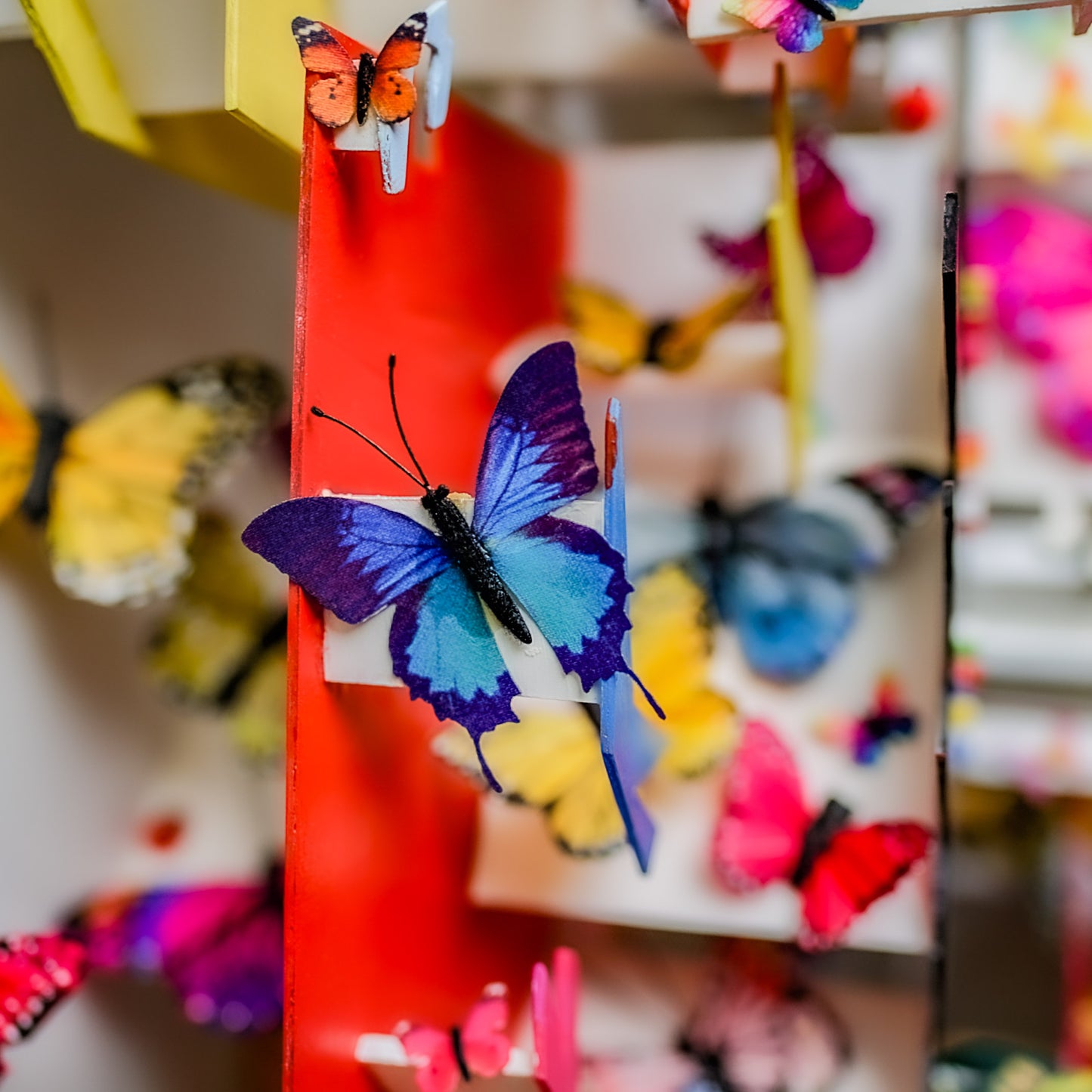 THE BUTTERFLIES OF MARILYN